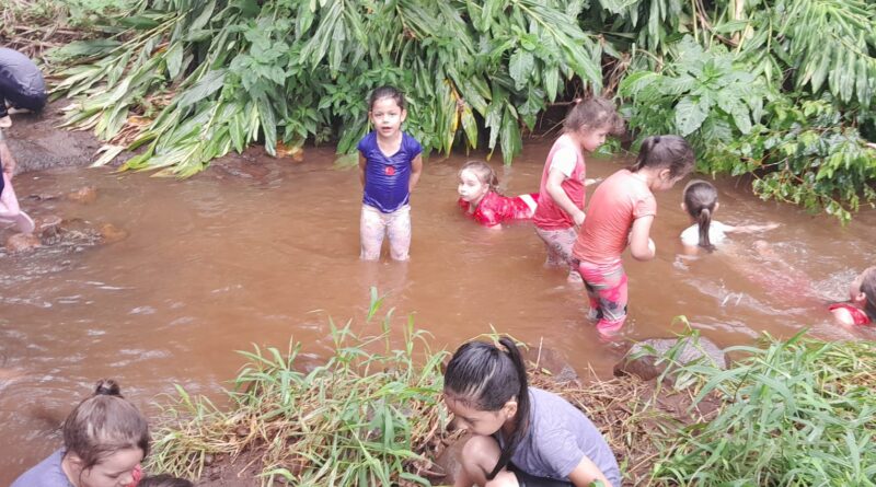 Alunos conhecem propriedade rural